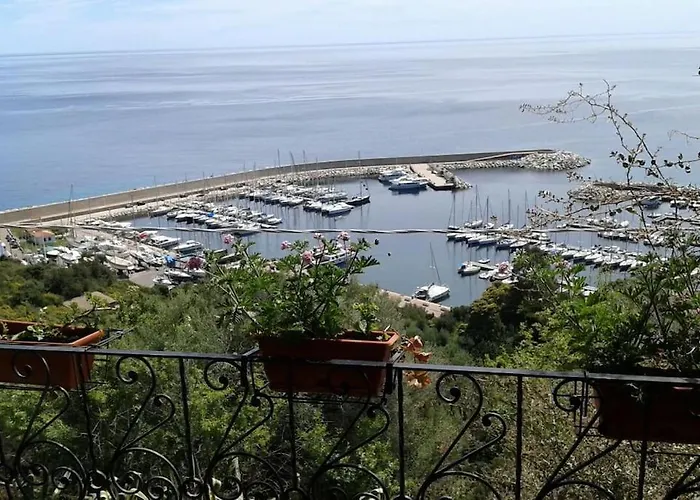 Meraviglioso Sul Porto *